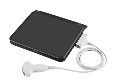Le scanner médical diagnostique d'ultrason d'ordinateur portable d'ultrason de 12 pouces LED avec une sonde relient le logiciel de vétérinaire disponible