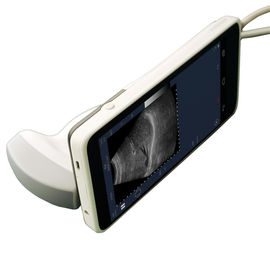 Poids 550g tenu dans la main portatif de machine d'ultrason de sonde ultrasonique de transducteur seulement