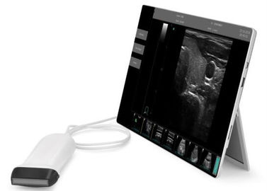 Utilisation de VÉTÉRINAIRE de la fenêtre soutenue par scanner portatif diagnostique ultrasonique 10 d'ultrason d'équipement de poche disponible
