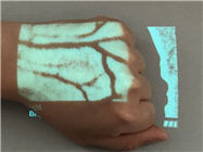 Détecteur infrarouge tenu dans la main de veine d'affichage précis en temps réel de veine avec 2 images de couleurs réglables