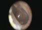 Otoscope visuel neutre Dermatoscope de Digital de lumière blanche et caméra d'otoscope avec la haute résolution