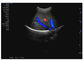 Matériel médical tenu dans la main 3D ou 4D de Doppler d'ultrason de couleur superbe facultatif