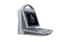 Scanner portatif d'ultrason de machine de Doppler de couleur de 10,4 pouces avec la haute résolution