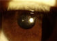 Caméra portative d'ophthalmoscope de lampe tenue dans la main de fente avec l'écran de couleur de contact de 3,97 pouces