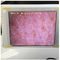Capteur blanc d'humidité de peau de contrôleur d'humidité de peau de Wifi avec la photo montrant dans Ipad