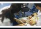 Utilisation sans fil d'humain ou de vétérinaire de sonde d'ultrason de machine tenue dans la main cardiaque d'ultrason disponible