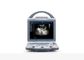 Scanner portatif d'ultrason de scanner mobile d'ultrason avec la sonde convexe linéaire Transvaginal