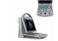 Équipement portatif d'ultrason de Doppler de couleur de Digital avec le mode du picowatt CFM THI