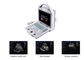 Machine portative d'ultrason de Doppler de scanner d'ultrason de B avec seulement le poids 4.5Kgs