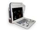Sonde cardiaque portative du scanner 4D d'UItrasound de scanner d'ultrason de Digital facultative