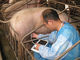 5,7&quot; dispositif vétérinaire tenu dans la main de scanner d'ultrason avec Li - batterie d'ion pour l'animal