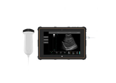 Scanner portatif d'ultrason de scanner d'ultrason de B avec B, B+B, connexion d'USB de mode de B+M