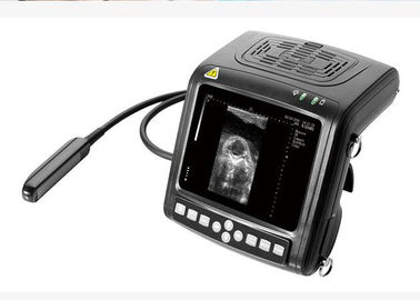 Vétérinaire tenu dans la main B/équipement diagnostique de scanner ultrason de W multi - la fréquence sonde