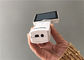 Otoscope visuel de Digital de caméra d'oreille d'Endoscope de ProfessionalENT avec la batterie au lithium rechargeable