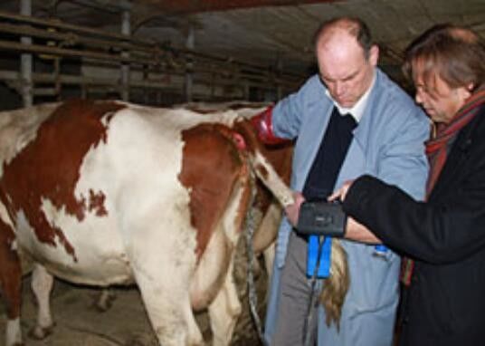 Scanner vétérinaire numérique à ultrasons